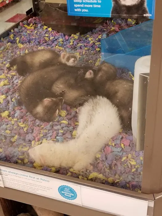 Petco Picture 1
