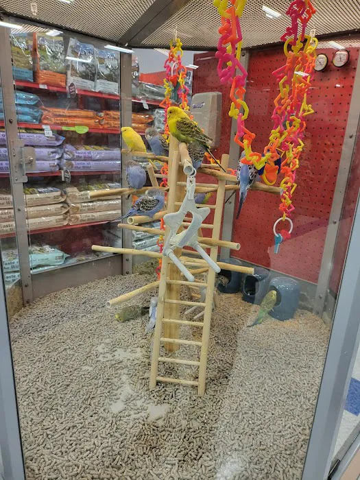 Petco Picture 6