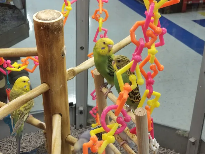 Petco Picture 7