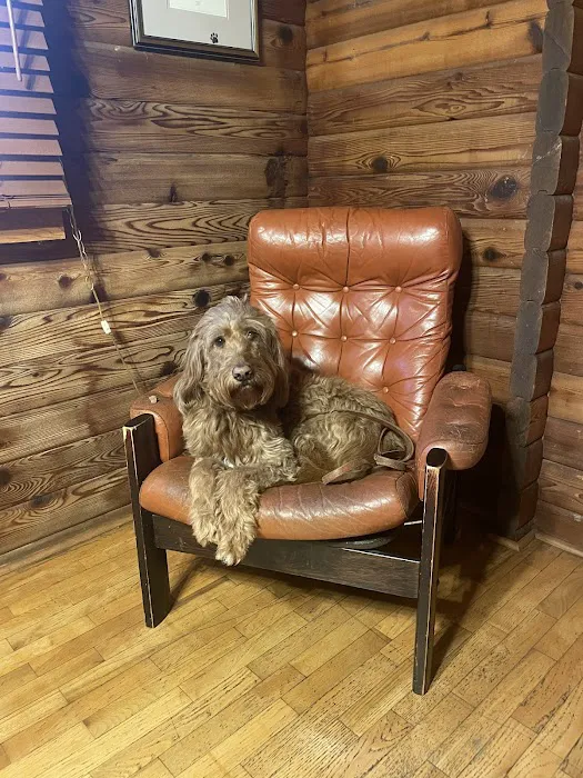 Log Cabin Animal Hospital Picture 1