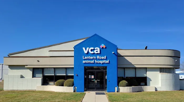VCA Lantern Road Animal Hospital Picture 10
