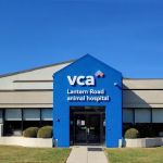 VCA Lantern Road Animal Hospital