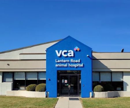 VCA Lantern Road Animal Hospital