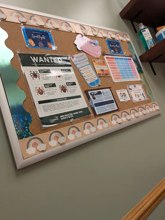 VCA Lantern Road Animal Hospital Picture 9