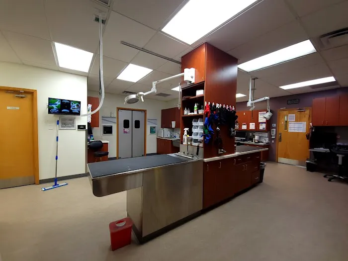 VCA Lantern Road Animal Hospital Picture 3