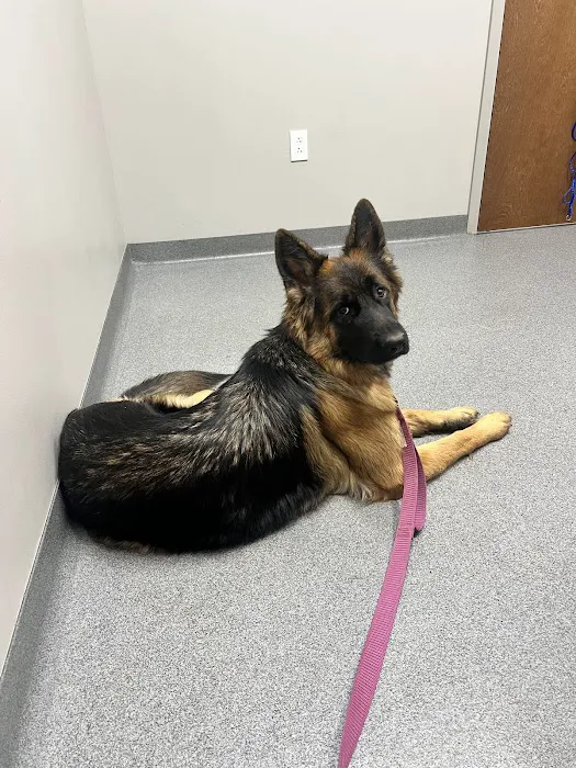 Ingalls Pet Wellness Clinic Picture 5