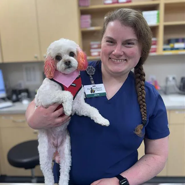Ingalls Pet Wellness Clinic Picture 4