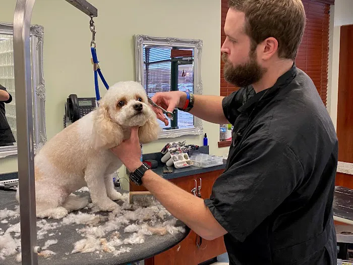 Bridgeview Pet Wellness Clinic Picture 8
