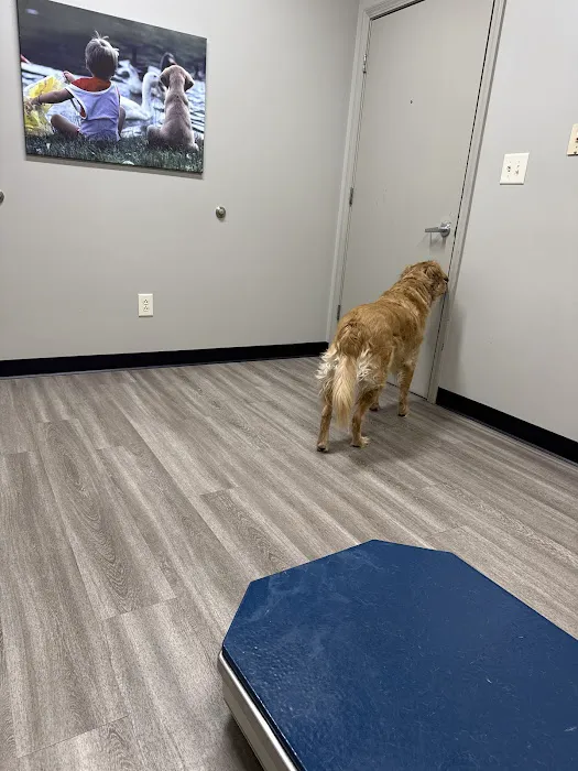 Bridgeview Pet Wellness Clinic Picture 1