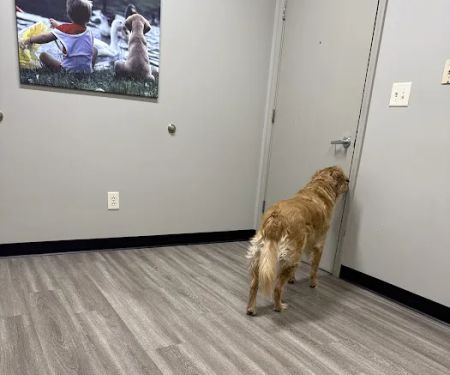 Bridgeview Pet Wellness Clinic