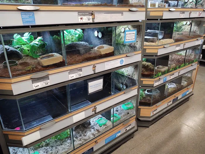 Petco Picture 8