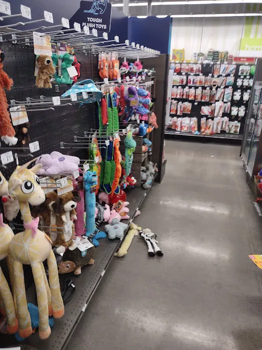 Petco Picture 3