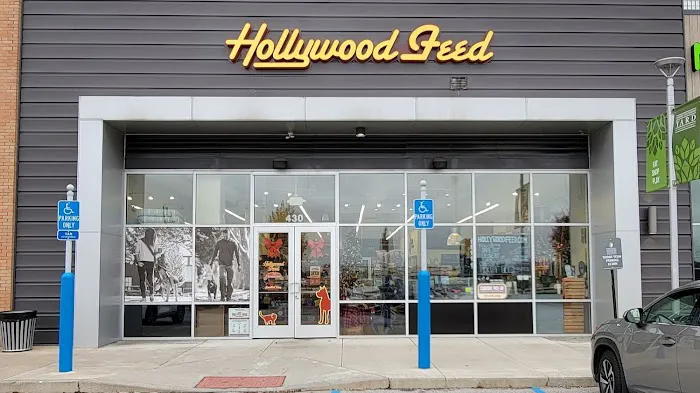 Hollywood Feed Picture 4