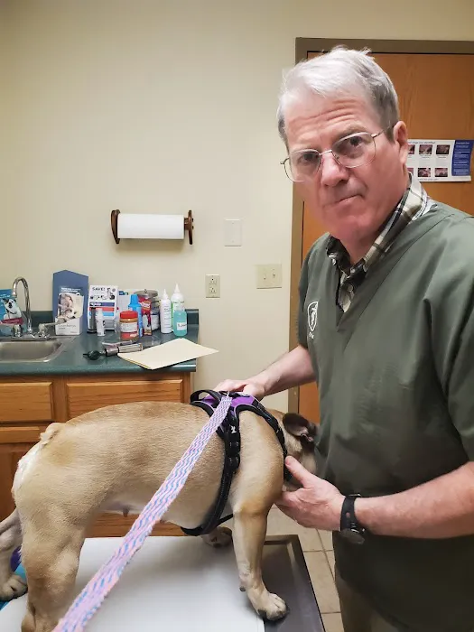 Boyce Animal Hospital Picture 2