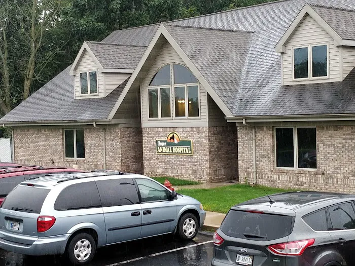 Boyce Animal Hospital Picture 5