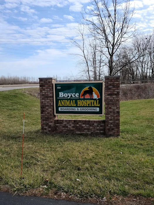 Boyce Animal Hospital Picture 1