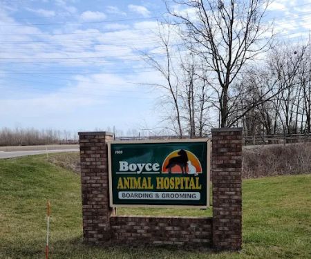 Boyce Animal Hospital