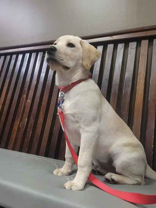 Oakview Veterinary Hospital Picture 10
