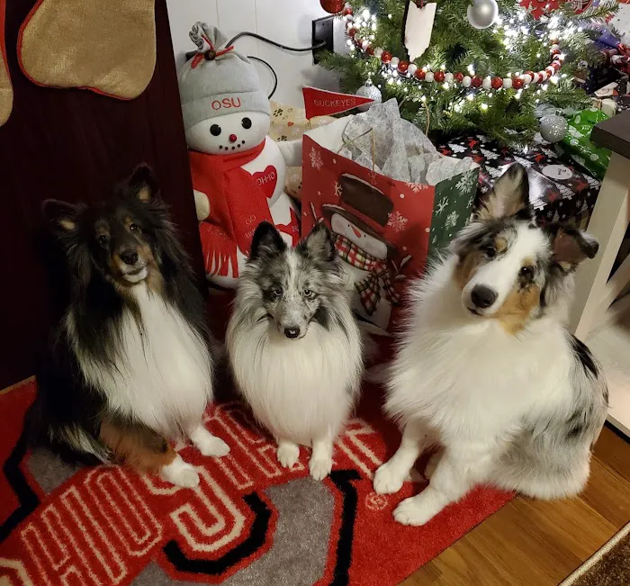 Oakview Veterinary Hospital Picture 9