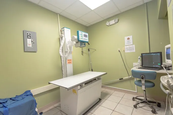 Care Animal Hospital Picture 2