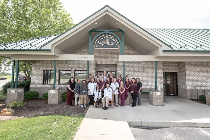 Care Animal Hospital Picture 4