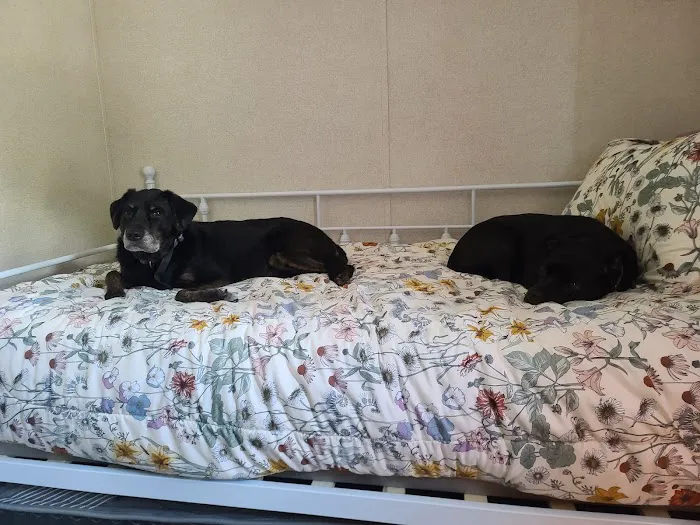 Eaton Veterinary Clinic Picture 9