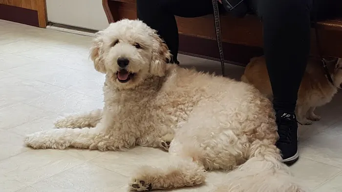 Eaton Veterinary Clinic Picture 4