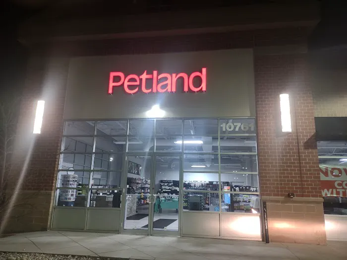 Petland Austin Landing Picture 3