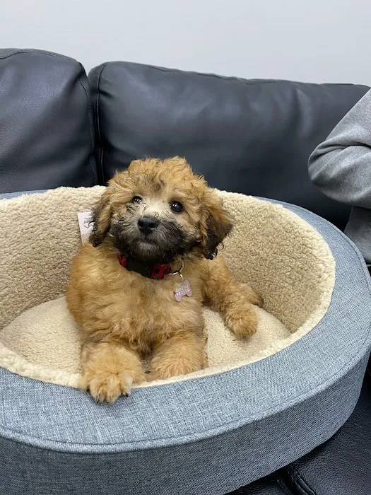 Petland Austin Landing Picture 1