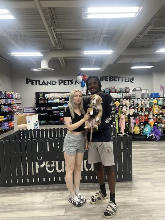 Petland Austin Landing Picture 4