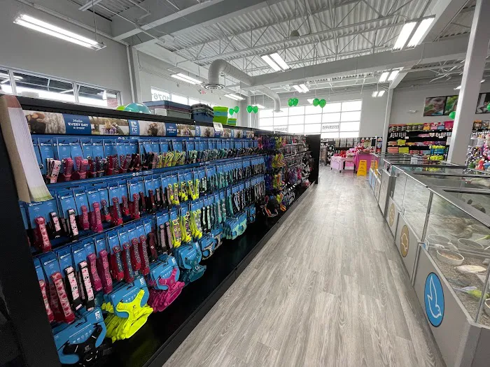 Petland Austin Landing Picture 5