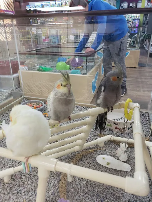 Petland Dayton Picture 4