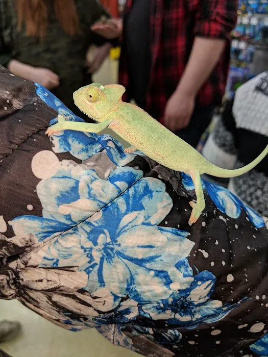 Petland Dayton Picture 8