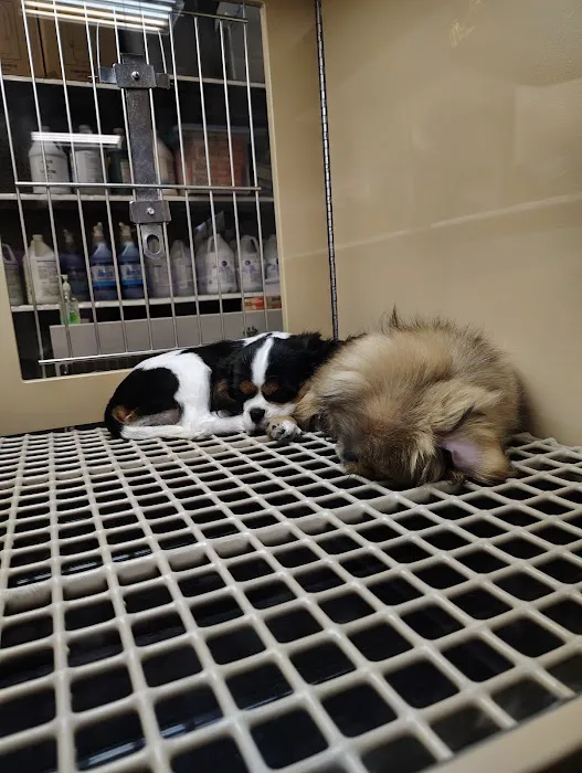 Petland Dayton Picture 1