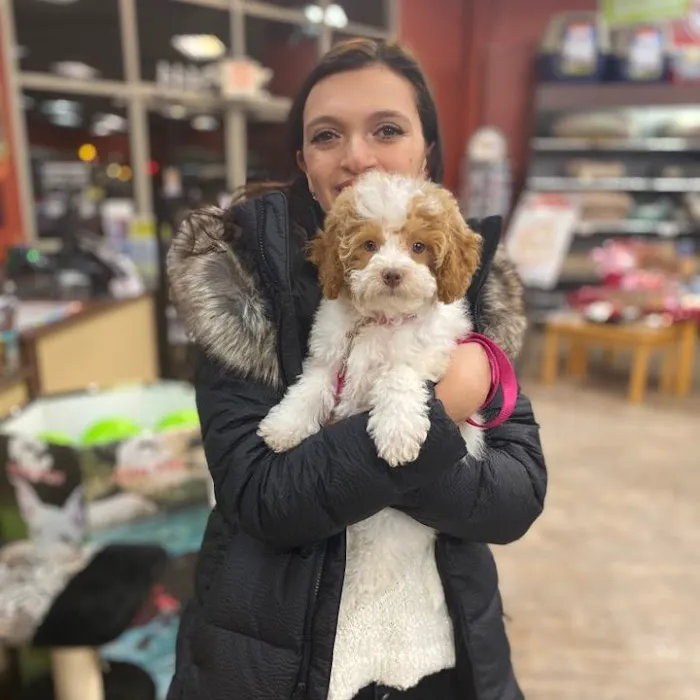 Petland Dayton Picture 5