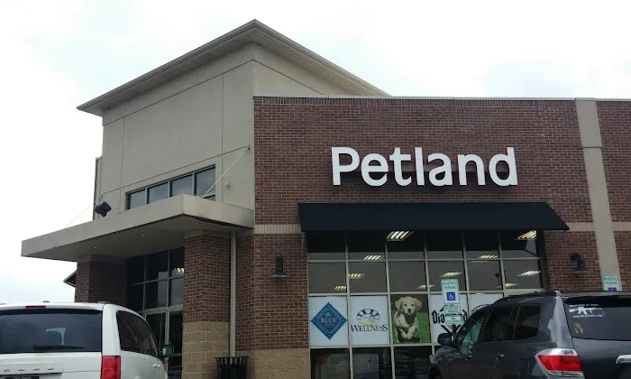 Petland Dayton Picture 6