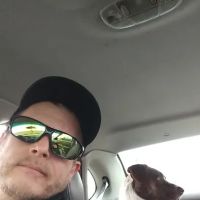 Five Oaks Mobile Pet Clinic ico