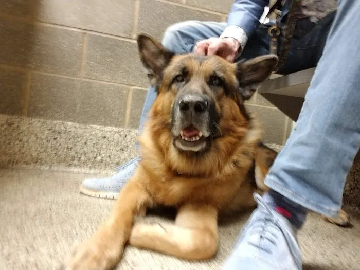 Northridge Animal Clinic Picture 3