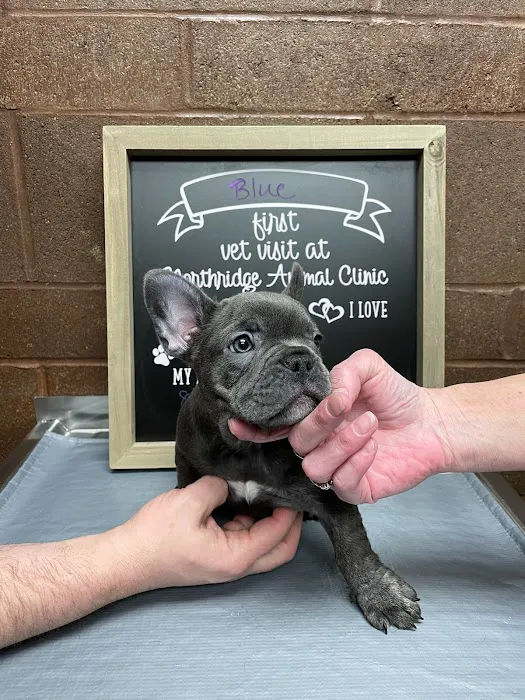 Northridge Animal Clinic Picture 4