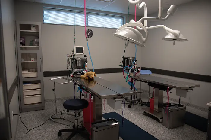 Dayton Humane Spay & Neuter Clinic Picture 2