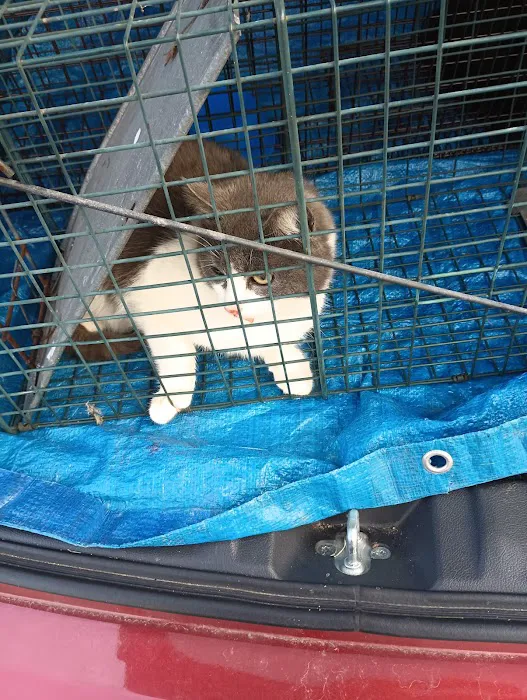 Dayton Humane Spay & Neuter Clinic Picture 9