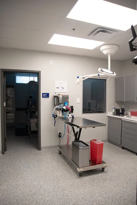 Dayton Humane Spay & Neuter Clinic Picture 1