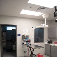 Dayton Humane Spay & Neuter Clinic ico