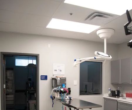 Dayton Humane Spay & Neuter Clinic