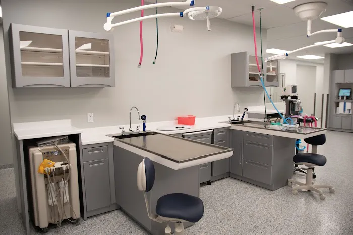 Dayton Humane Veterinary Hospital Picture 8