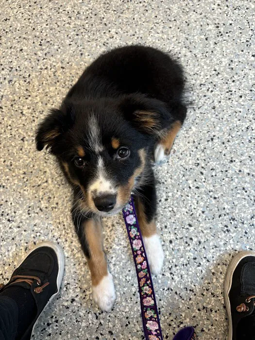 Dayton Humane Veterinary Hospital Picture 7