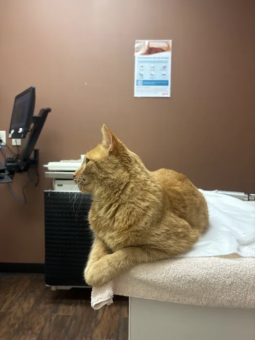 Bigger Road Veterinary Center Picture 6