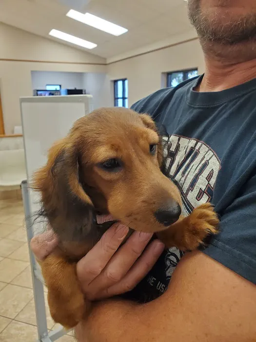 VCA Northwood Animal Hospital Picture 1