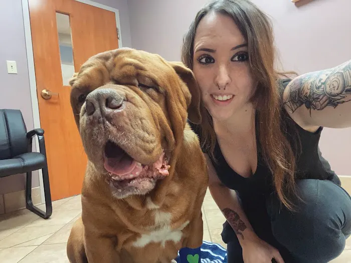 VCA Northwood Animal Hospital Picture 4