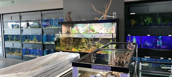 Aquarium Artisans Picture 3